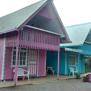 book here